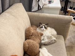 -iF摄影•全家福•证件照•形象照(南山店)