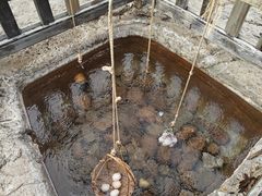 -天芳悦潭度假村温泉