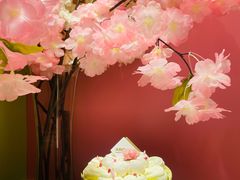 -ABC Cooking Studio(北京颐堤港店)