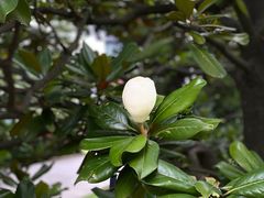 -虹迎轩·中餐厅(虹桥迎宾馆店)