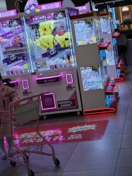 -维拓乐园(砂之船奥莱店)