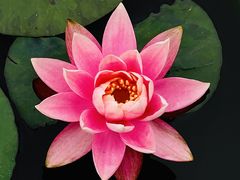 -星巴克(深圳前海企业公馆店)