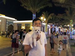 -三亚海昌梦幻海洋不夜城