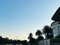 -舟山希尔顿酒店