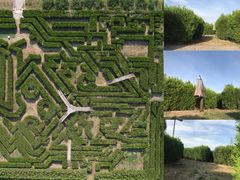 -亲兄弟真人CS团建拓展基地