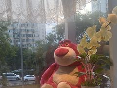 -懒人盐府人家(航天桥店)