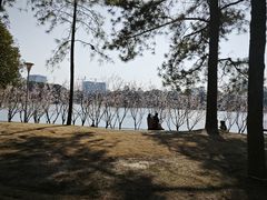 -美兰湖景区