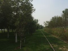 -武清南湖绿博园