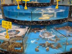 -丁字口海鲜热炒·烧烤大排档