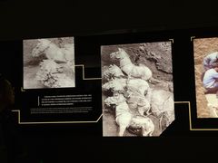 -秦始皇帝陵博物院-丽山园