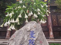 -古大圣慈寺