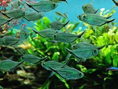 -太平洋海底世界