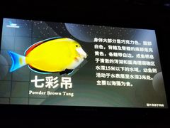 -太平洋海底世界