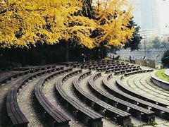 -成都市活水公园