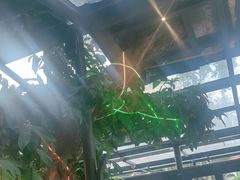 -海岛八号龙虾烧烤田鸡(蓝天路总店)