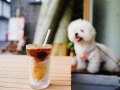 -COMPANION COFFEE小伴咖啡