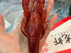 -指爱龙虾(金杨路总店)