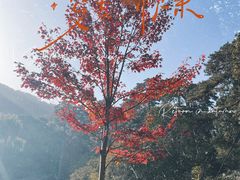 -香山公园