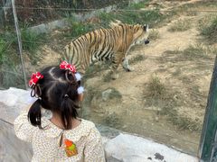 -泉州海丝野生动物世界