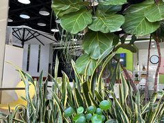 -813芭依珊 BAESAn(皇冠十畝地店)