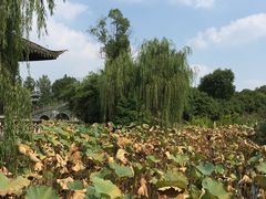 -韩湘水博园