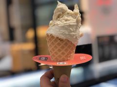 马拉加冰淇淋很浓郁-野人先生现做冰淇淋(西安赛格店)