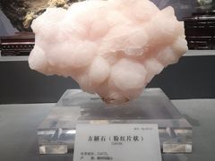 -湖南省地质博物馆