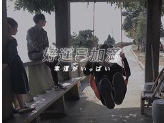 -玉苍山国家森林公园