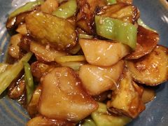 -邵年鸽(杨庄店)