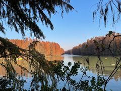 -上海海湾国家森林公园