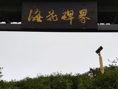 -大围山国家森林公园