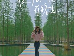 -泗洪洪泽湖湿地景区