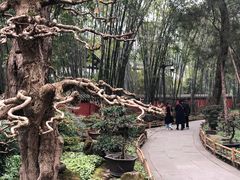 -成都武侯祠博物馆