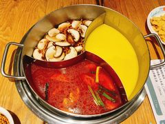 -青瓷火锅料理(西单大悦城店)