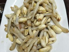 -兴芮温泉度假区