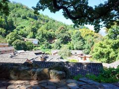 -杨家堂村