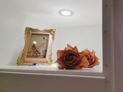 -蕾蕾美颜美容美体