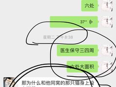 -飞行喵MR PILOT|猫舍·猫咖(静安大融城店)