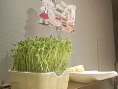 -海底捞火锅(城阳万象汇店)