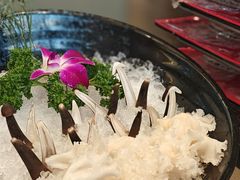-纯味斑鱼府(中海环宇荟店)