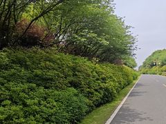 -宜兴龙背山森林公园