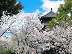 -堤角公园