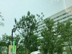 -首都医科大学附属北京天坛医院