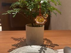 -CURRY YA 熟成咖哩專門店(深圳湾万象城店)