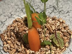 -松鹤精致料理(五一中路店)