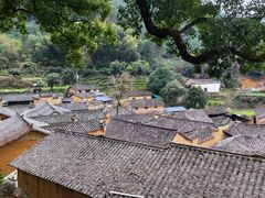 -杨家堂村