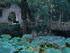 -水绘园