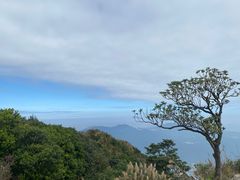 -梧桐山风景名胜区