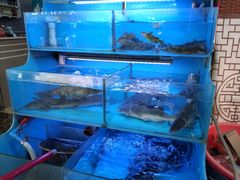 -韩妹鱼庄·泸定老字号(泸定店)