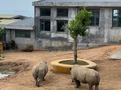 -西霞口神雕山野生动物世界